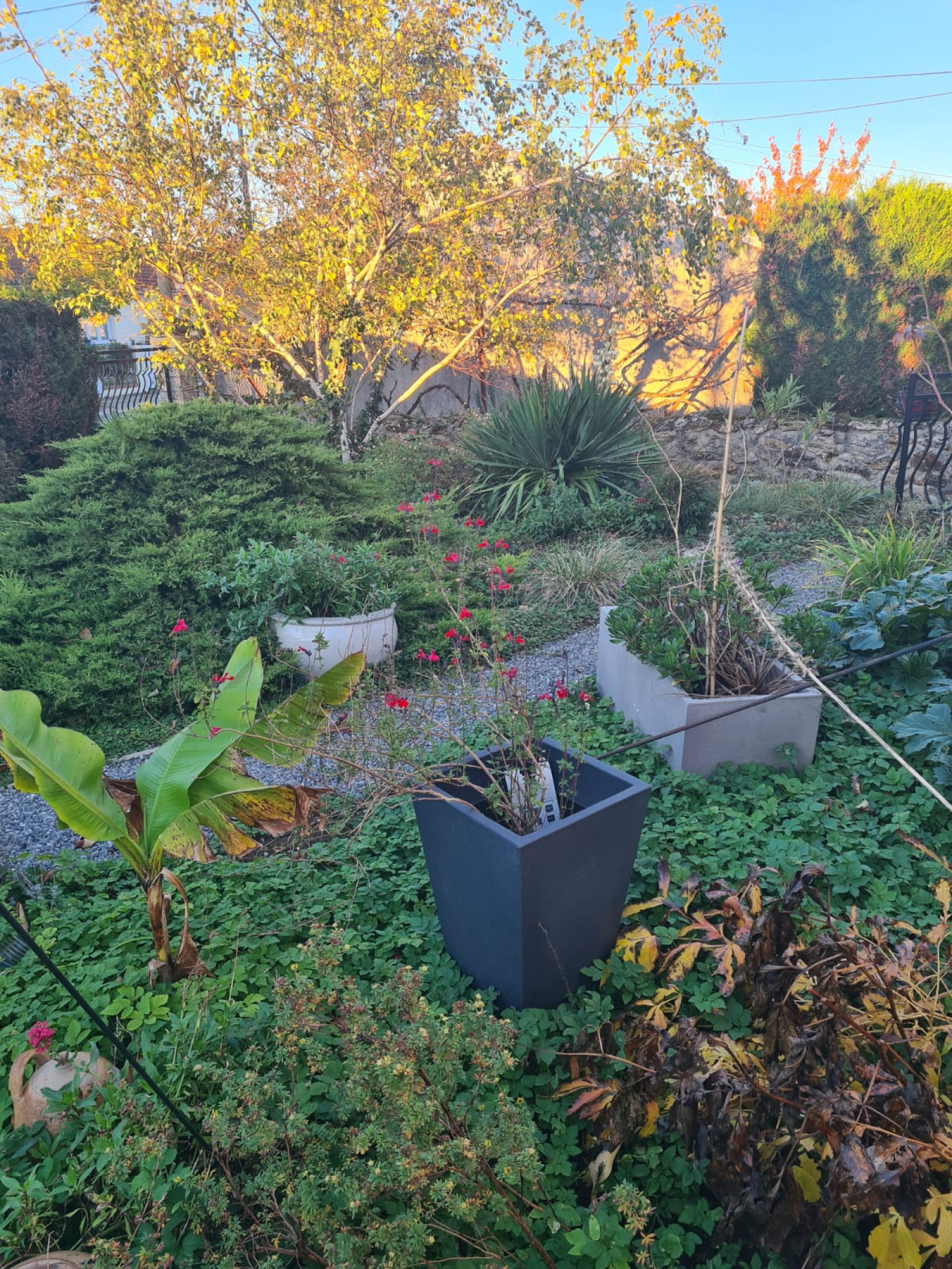 Image_, Appartement, Grigny, ref :3165